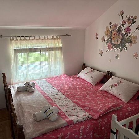 Elena Apartment Плужине Экстерьер фото