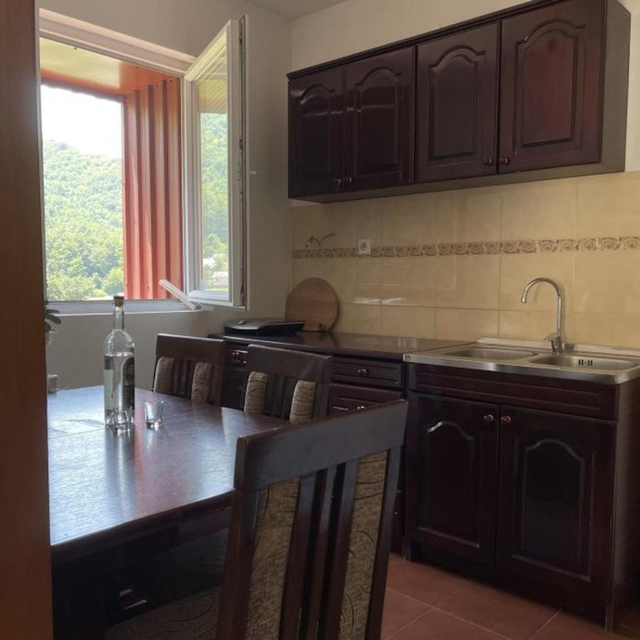 Elena Apartment Плужине Экстерьер фото