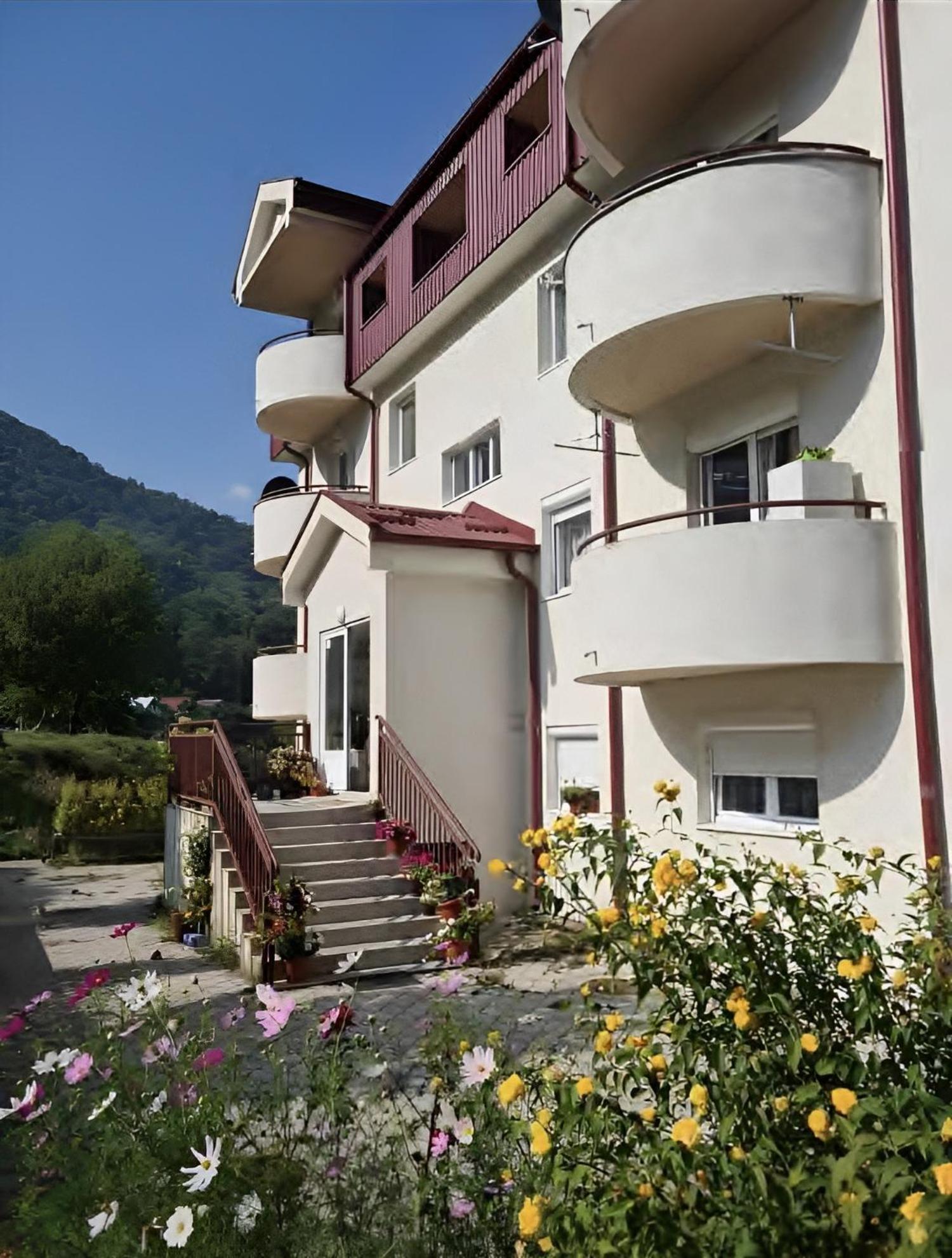 Elena Apartment Плужине Экстерьер фото